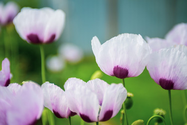 Similar image 22156411