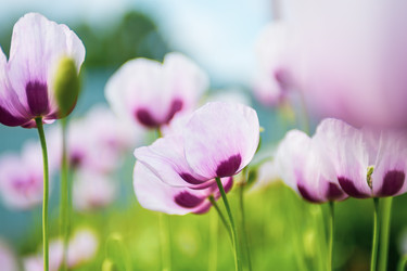 Similar image 22156412