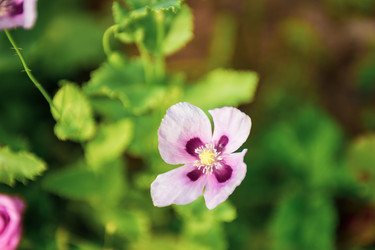 Similar image 22156413