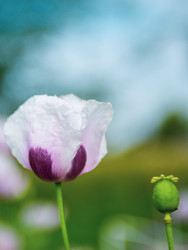 Similar image 22156416