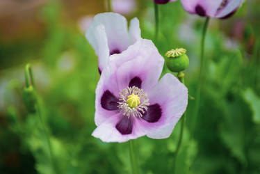 Similar image 22156417