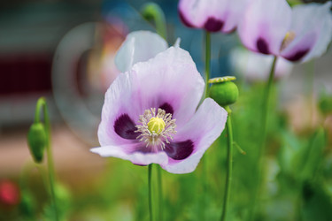 Similar image 22156418