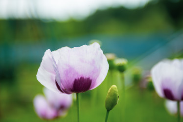 Similar image 22156419