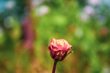 Similar image 22156420