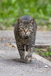 Similar image 22153715