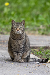 Similar image 22153716