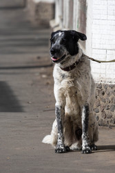 Similar image 22153717