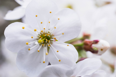 Similar image 22153719