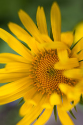 Similar image 22153720