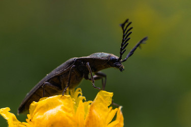 Similar image 22153721