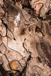 Similar image 22153722