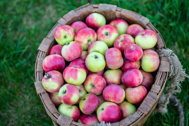 Similar image 22156424