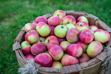 Similar image 22156425