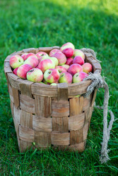 Similar image 22156427