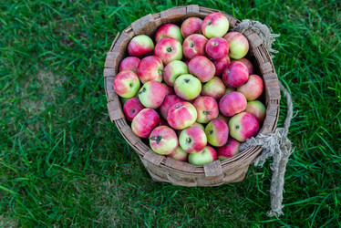 Similar image 22156428