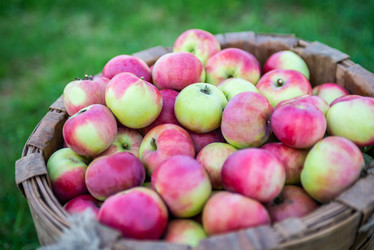 Similar image 22156429