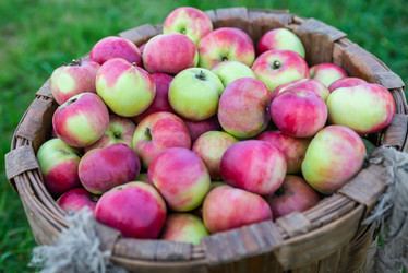 Similar image 22156430