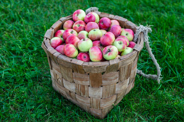 Similar image 22156431