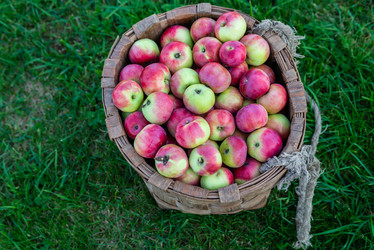 Similar image 22156432