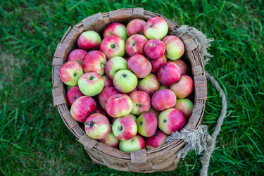 Similar image 22156433