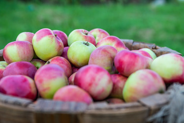 Similar image 22156434