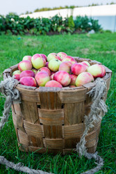 Similar image 22156435