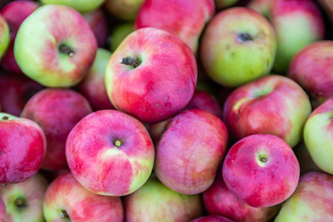 Similar image 22156436