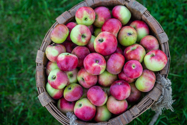 Similar image 22156437