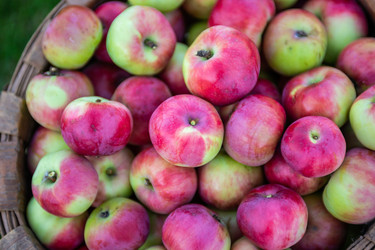 Similar image 22156438