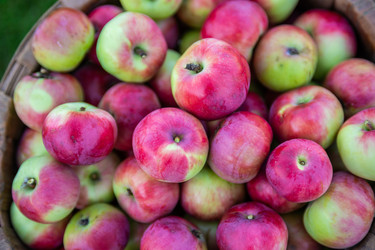 Similar image 22156439