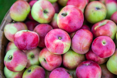 Similar image 22156440