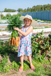 Similar image 22156442