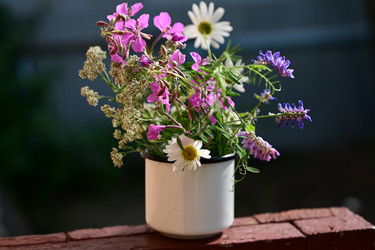 Similar image 22160225