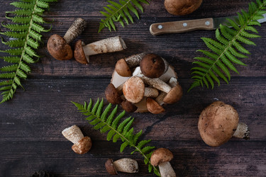 Similar image 22160239