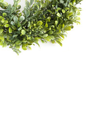 Similar image 22153982