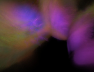 Similar image 22164769