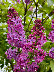 Similar image 22155461