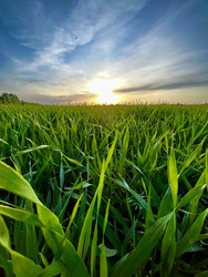 Similar image 22155463