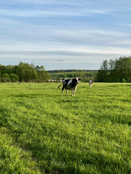 Similar image 22155464