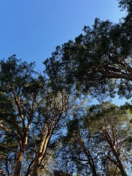 Similar image 22155465