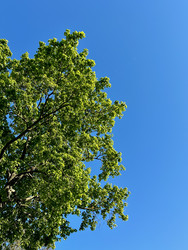 Similar image 22155467