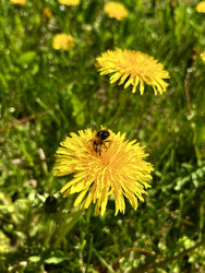 Similar image 22155468