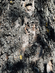 Similar image 22155469