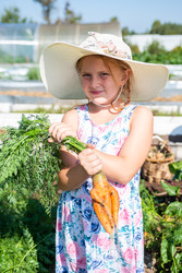 Similar image 22156443