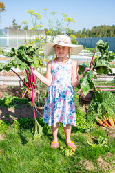 Similar image 22164027