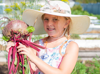 Similar image 22164029