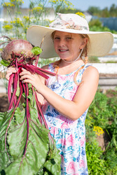 Similar image 22164030