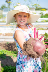 Similar image 22164031