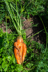 Similar image 22156447