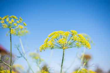 Similar image 22164033